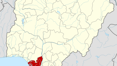Woman shot dead by security operatives, governor vows justice