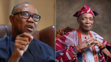 Why I Called Olubadan ‘My Brother’ — Peter Obi