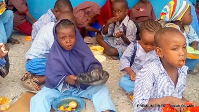 Nigerian govt to feed 50 million pupils in 2026 – Official