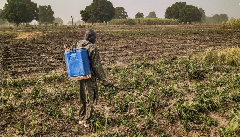 Toxic Agrochemicals Entered Nigeria Despite Ban