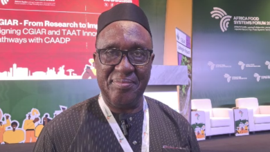 Africa imports close to  billion worth of food annually- official