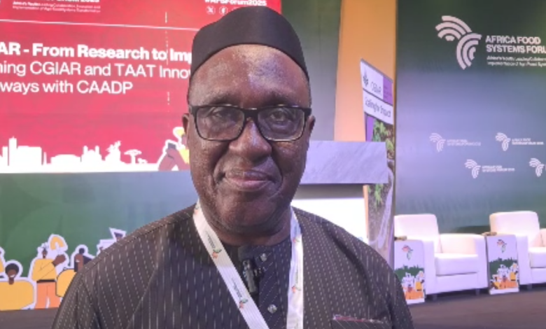 Africa imports close to billion worth of food annually- official Africa imports close to billion worth of food annually- official