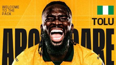 Transfers: Arokodare signs for Wolves as two more Nigerians near EPL moves