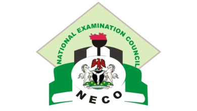 Kano doubles down on NECO performance claims