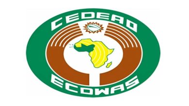 African experts push for stronger epidemic surveillance, research systems