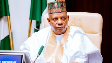 AI, energy transition among Africa’s ‘opportunities in disguise’ – Shettima