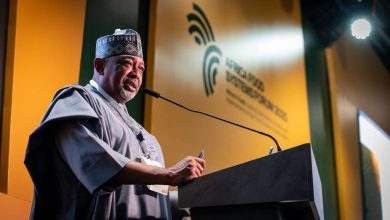 Why we banned export of raw shea nut – Minister