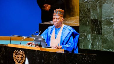 In UNGA address, Nigeria preaches peace, two-state solution in Palestine-Israel conflict 