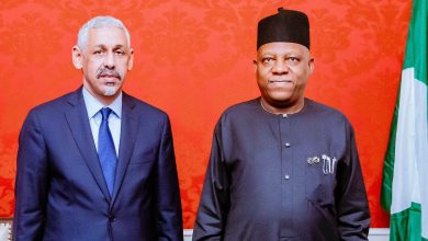 Nigeria seeks AfDB support for Great Green Wall, SAPZ
