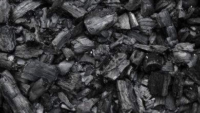 Experts fault Nigeria’s forest economy plan for sidelining charcoal, urge policy reform