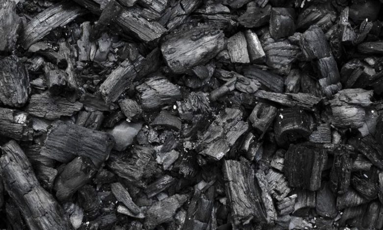 Experts fault Nigeria’s forest economy plan for sidelining charcoal, urge policy reform Experts fault Nigeria’s forest economy plan for sidelining charcoal, urge policy reform