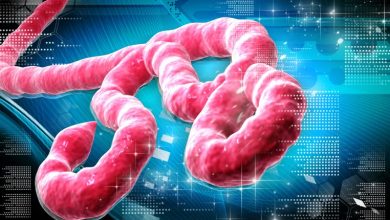 Ebola: WHO releases 0,000 as DR Congo outbreak death toll hits 16