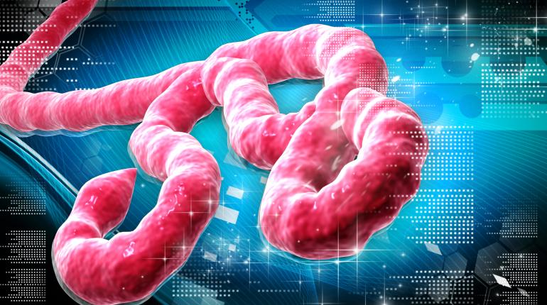 Ebola: WHO releases 0,000 as DR Congo outbreak death toll hits 16