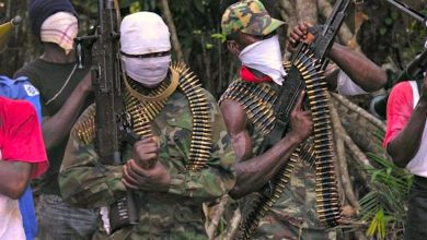 How banditry can be ended in two months –  Shinkafi