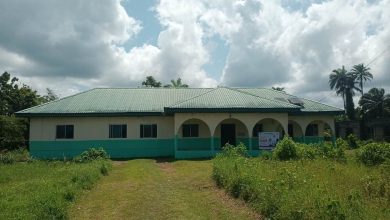 In Akwa Ibom, pregnant women, babies die due to poorly-equipped PHCs while govt wastes billions