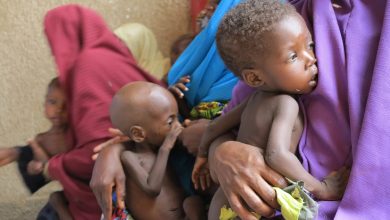 Jigawa dedicates 1% of annual budget to nutrition for 2026, subsequent years