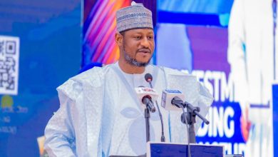 Katsina targets 70% broadband penetration, 2,000km fibre connectivity by 2030