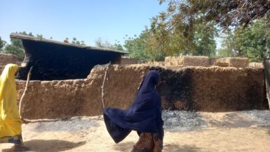 Three killed in Jigawa farmers, herders clashes