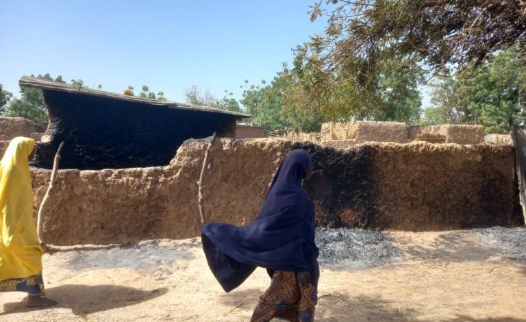 Three killed in Jigawa farmers, herders clashes