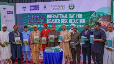 Disaster Risk Management: Lawal says Zamfara committed to working with NEMA