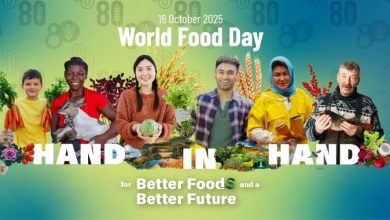 World Food Day: Experts discuss transforming Africa’s natural herbs into sustainable wellness solutions