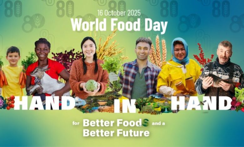 World Food Day: Experts discuss transforming Africa’s natural herbs into sustainable wellness solutions World Food Day: Experts discuss transforming Africa’s natural herbs into sustainable wellness solutions