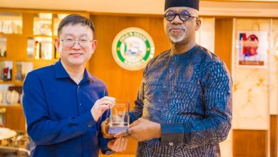Chinese Firm Set To Establish Power Generation Plant, Industrial Park In Ogun
