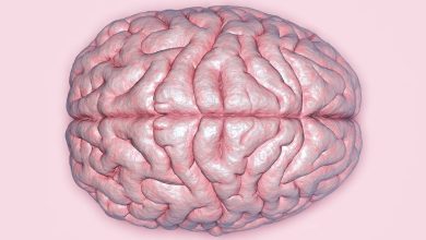 Over 3 billion people worldwide affected by Neurological disorders- WHO