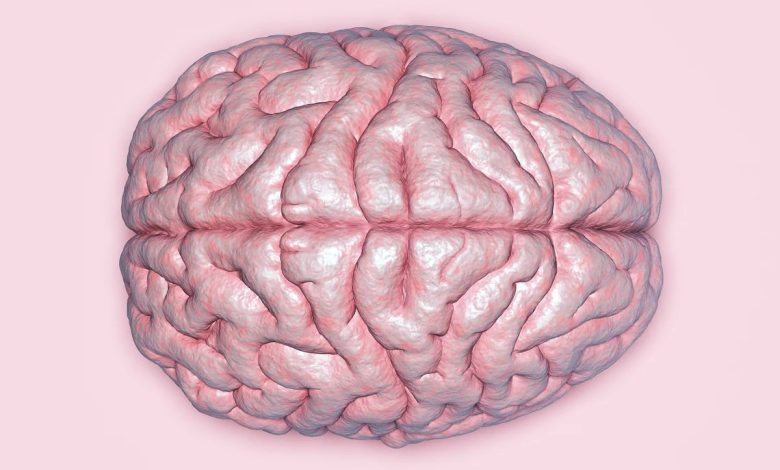 Over 3 billion people worldwide affected by Neurological disorders- WHO Over 3 billion people worldwide affected by Neurological disorders- WHO