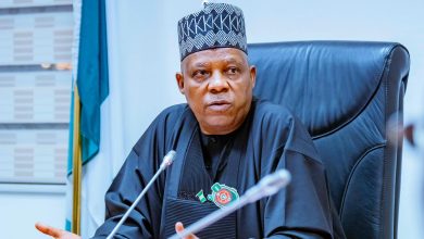 Nigeria secures over 0 million in renewable energy investments – Shettima