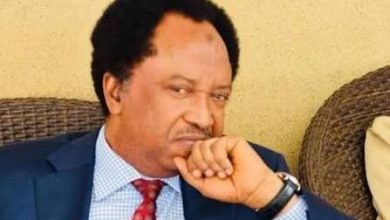 Don’t search your husband’s phone without consent – Shehu Sani