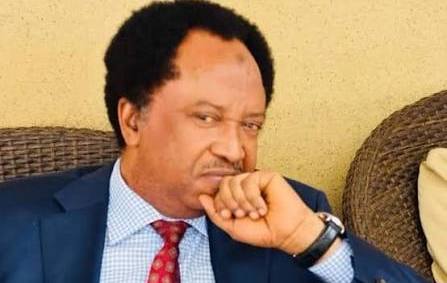 Don’t search your husband’s phone without consent – Shehu Sani Don’t search your husband’s phone without consent – Shehu Sani