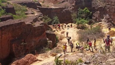 Reps panel vows to block bn annual loss to illegal mining