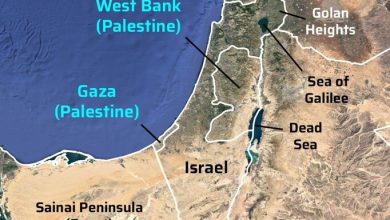 Israel, Hamas accept first phase of Trump’s Gaza ceasefire plan