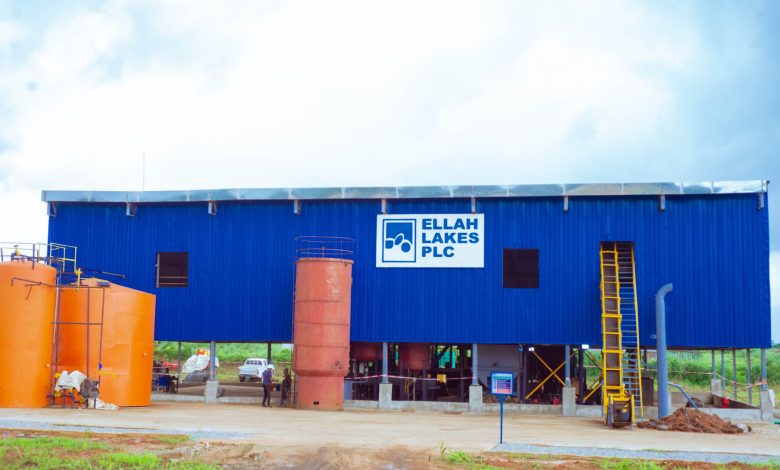 Ellah Lakes enters pact to acquire Tolaram’s agro-processing business