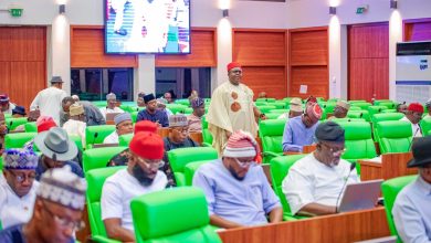 CRIM opposes proposed risk management institute, says it’s duplication