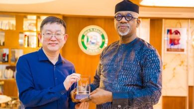 Chinese firm set to establish power generation plant, industrial park in Ogun