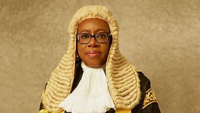 CJN launches online portal for notary public applications