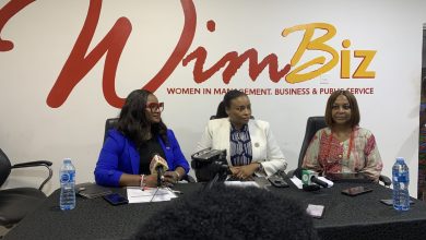 WimBiz, others push for labour reform, female representation in government