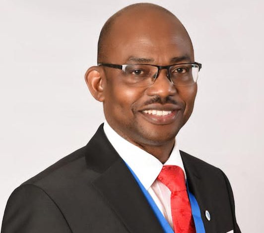 Making Nigeria’s voice heard in IFRS S1 & S2 sustainability standards, By Innocent Okwuosa