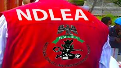 NDLEA smashes cocaine cartels behind six UK-bound shipments – Official