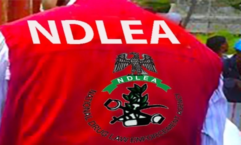 NDLEA smashes cocaine cartels behind six UK-bound shipments – Official NDLEA smashes cocaine cartels behind six UK-bound shipments – Official