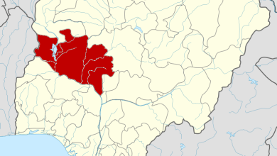 Niger govt warns communities to relocate as dams release water
