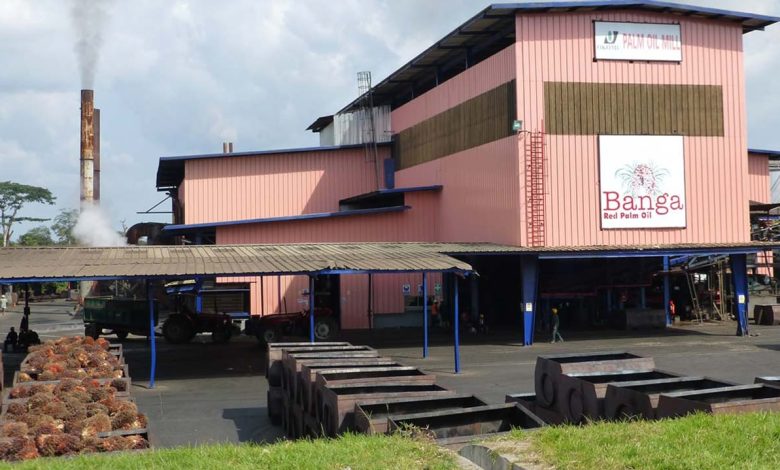 Okomu Oil declares special dividend as nine-month profit more than doubles Okomu Oil declares special dividend as nine-month profit more than doubles
