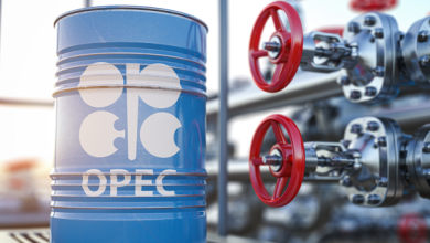 Oil Rises After OPEC+ Restrains Output Increase