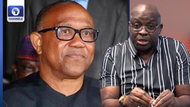 Peter Obi Is The Only Opposition In Nigeria Today – Fayose