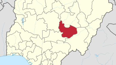 13-year-old herder, 39 cattle killed in Plateau – Official