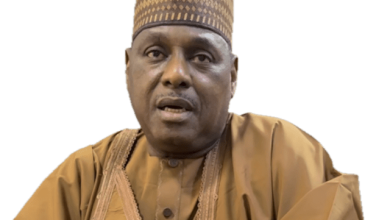Ten years of progressive governance in Nigeria: From reform to renewal, By Rabiu Isyaku Rabiu