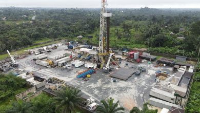 Britain’s Savannah Energy appoints two Nigerians as independent directors