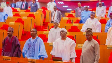 Nigerian lawmakers propose 10-year passport ban for citizens convicted abroad